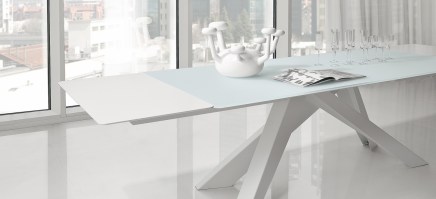 BIG table in white, with glass top and white extensions.